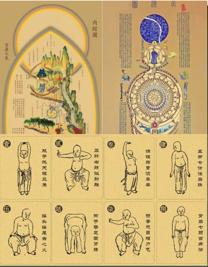 Qi For Longevity Website